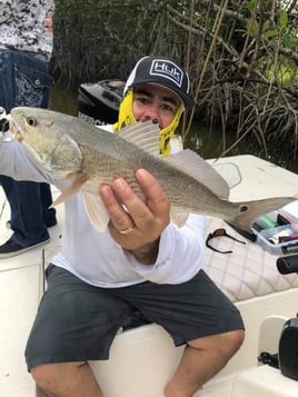 Redfish Fishing in Key Largo, Florida