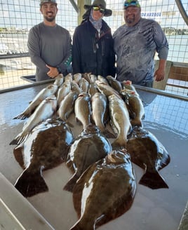 Gator Trout Trip