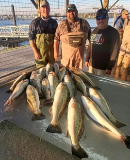 Gator Trout Trip