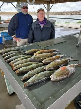 Gator Trout Trip