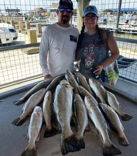 Gator Trout Trip