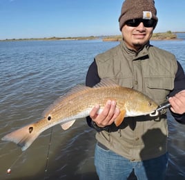 Gator Trout Trip