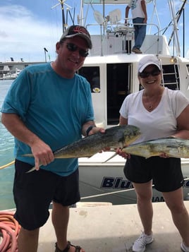 Full Day Offshore - 45' Hatteras