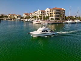 Offshore Trolling Adventure