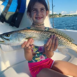 Speckled Trout Fishing in Sarasota, Florida