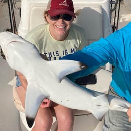 Blacktip Shark Fishing in Sarasota, Florida