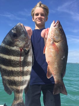 Mangrove Snapper, Sheepshead Fishing in Sarasota, Florida