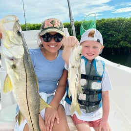 Snook Fishing in Sarasota, Florida