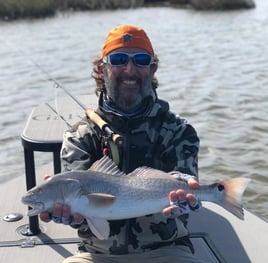 Galveston on the Fly