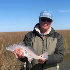 Galveston on the Fly