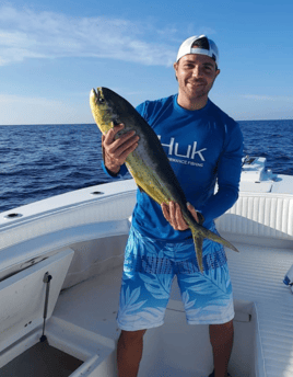 Mahi Mahi Fishing in Homestead, Florida