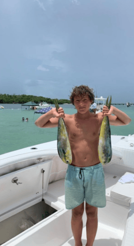 Mahi Mahi Fishing in Homestead, Florida