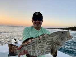 Gag Grouper Fishing in Homestead, Florida