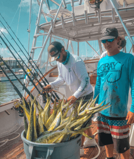 Mahi Mahi Fishing in Marathon, Florida