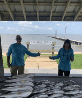 Black Drum, Redfish Fishing in Palacios, Texas