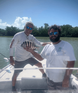 Sheepshead Fishing in Tavernier, Florida