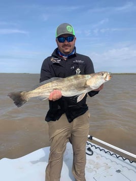 Speckled Trout Fishing in Bay City, Texas