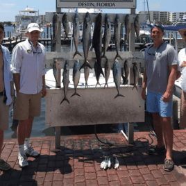 Destin Cobia Masters - 42’ Uniflite