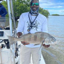 Black Drum Fishing in Naples, Florida