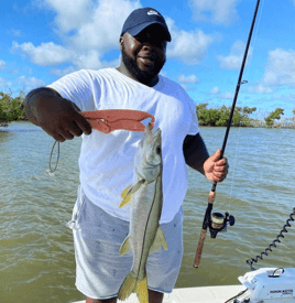 Snook Fishing in Naples, Florida