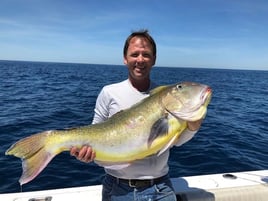 Freeport Offshore Run - 38' Luhrs