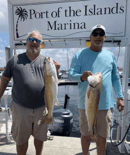 Redfish Fishing in Naples, Florida