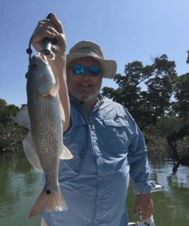 Redfish Fishing in Naples, Florida