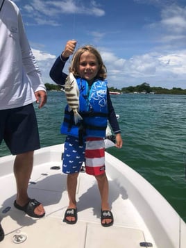 Sheepshead Fishing in Naples, Florida