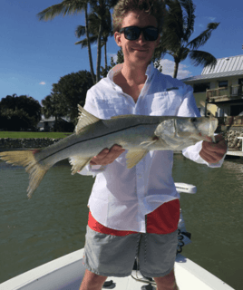 Snook Fishing in Naples, Florida