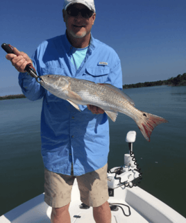 Redfish Fishing in Naples, Florida