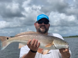 Redfish Fishing in Folly Beach, South Carolina