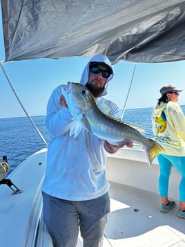 Chasing Lunkers Offshore Trip