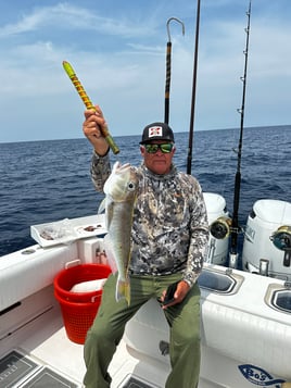 Chasing Lunkers Offshore Trip