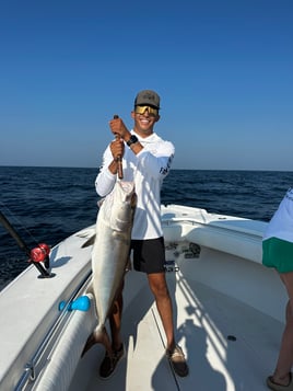 Chasing Lunkers Offshore Trip