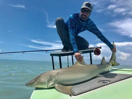 Bay Fishing with Silverking Charters - 22' Pathfinder