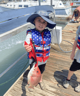 Red Snapper Fishing in South Padre Island, Texas