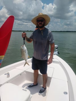 Jack Crevalle Fishing in Naples, Florida