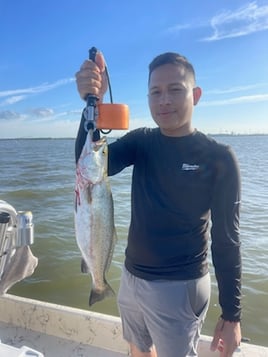 Trophy Trout and Reds