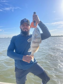 Trophy Trout and Reds