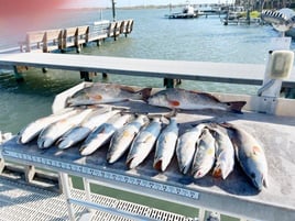 Baffin Bay Backwater Blast