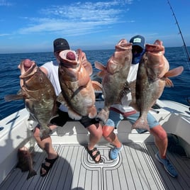 Red Grouper Fishing in Marco Island, Florida