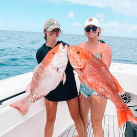 Red Snapper Fishing in Marco Island, Florida