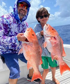 Red Snapper Fishing in Marco Island, Florida