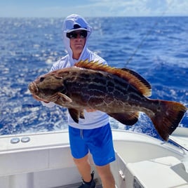 Black Grouper Fishing in Marco Island, Florida