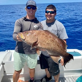 Black Grouper Fishing in Marco Island, Florida