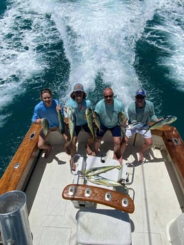 Mahi Mahi Fishing in Islamorada, Florida