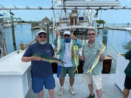 Mahi Mahi Fishing in Islamorada, Florida