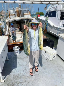 Mahi Mahi Fishing in Islamorada, Florida