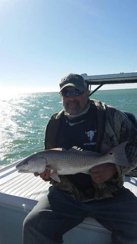 Redfish Fishing in Islamorada, Florida