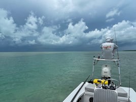 Florida Keys Skinny Water